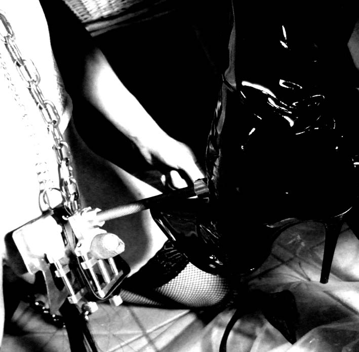 www.padronaisabella.org