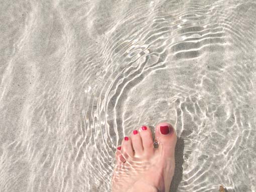 piedi