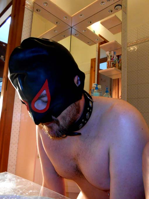 schiavo