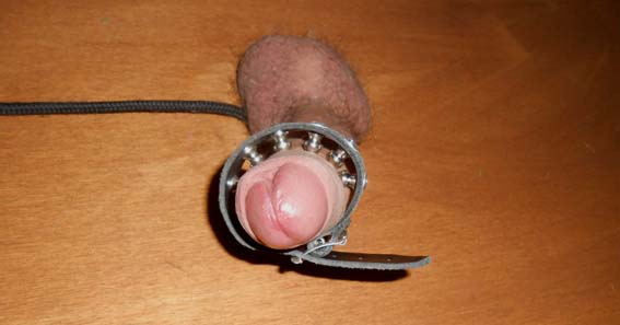 torture dick cazzo www.padronaisabella.org padrona isabella