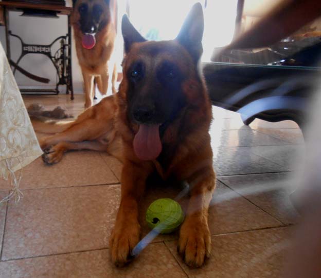 GUNTER FRIDA MISTRESS ISABELLA