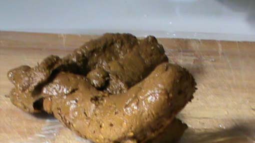 scat caviar mistress sardegna sassari padrona isabella 3336942600 cell